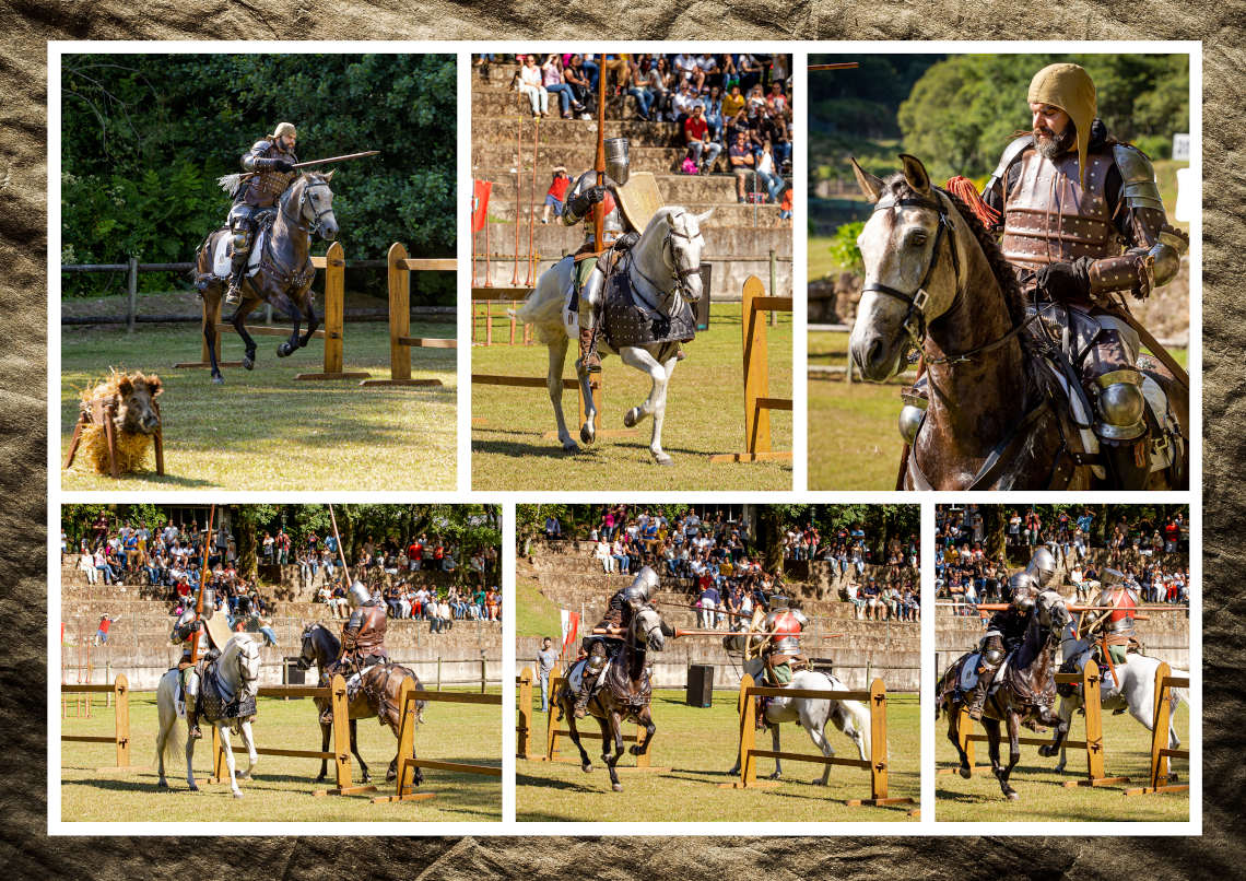 escola equestre