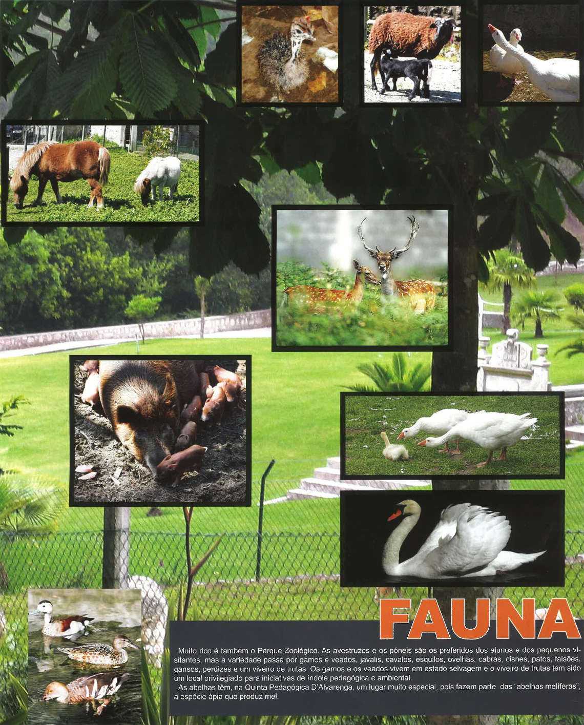 Parque Zoológico