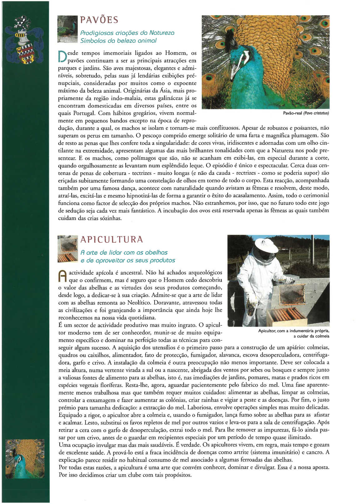 quinta_pedagogica