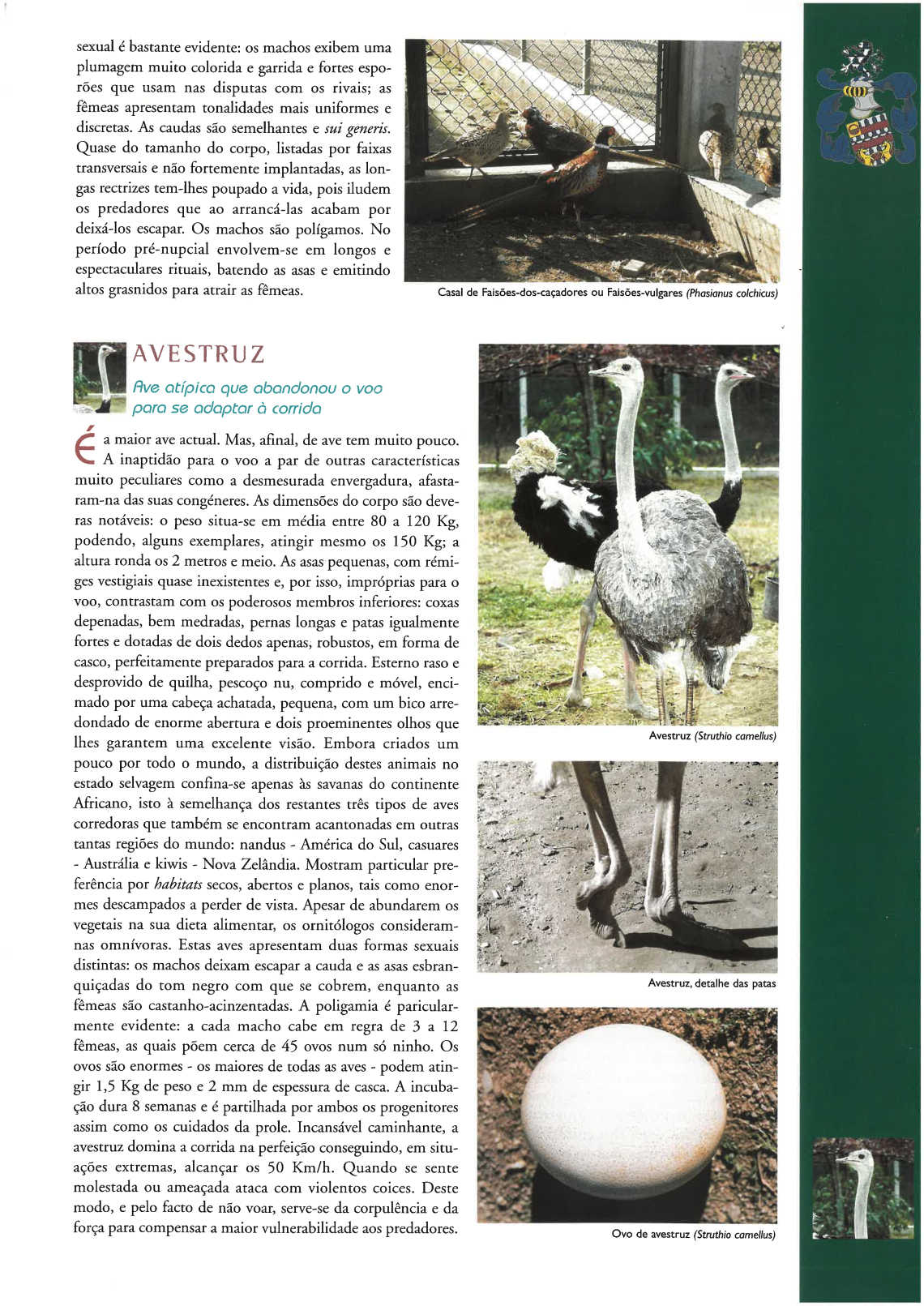 quinta_pedagogica
