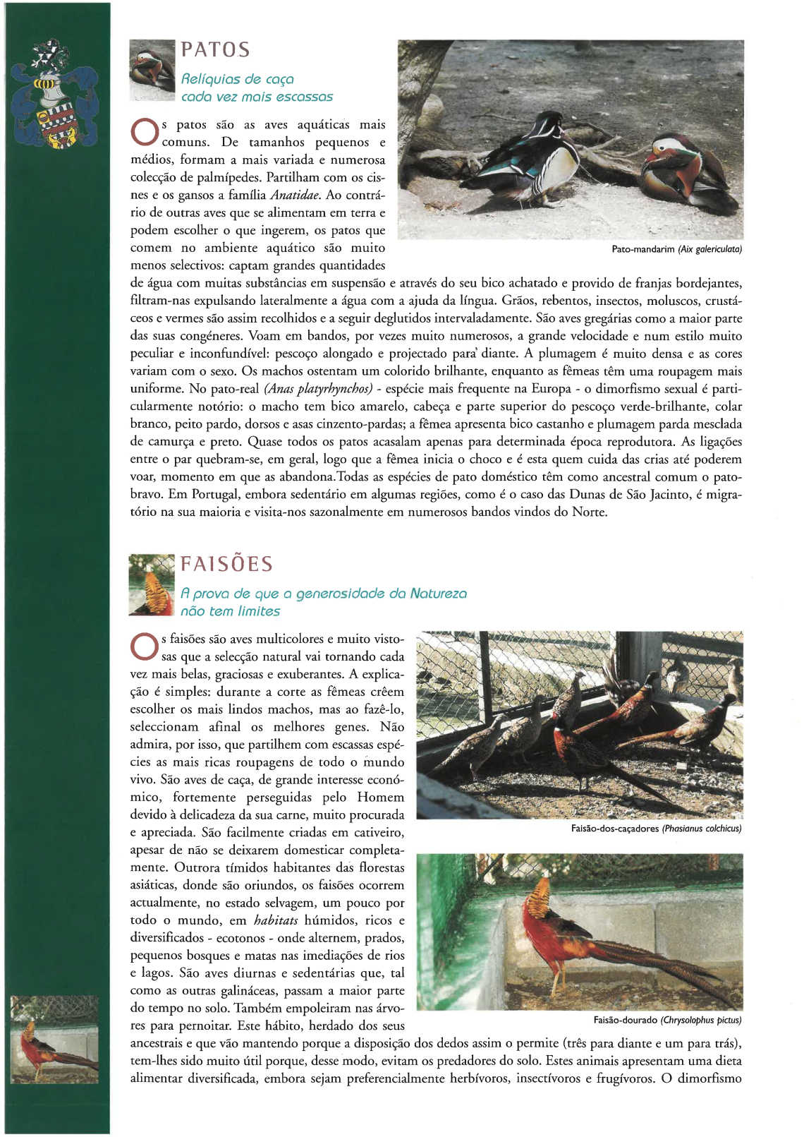 quinta_pedagogica