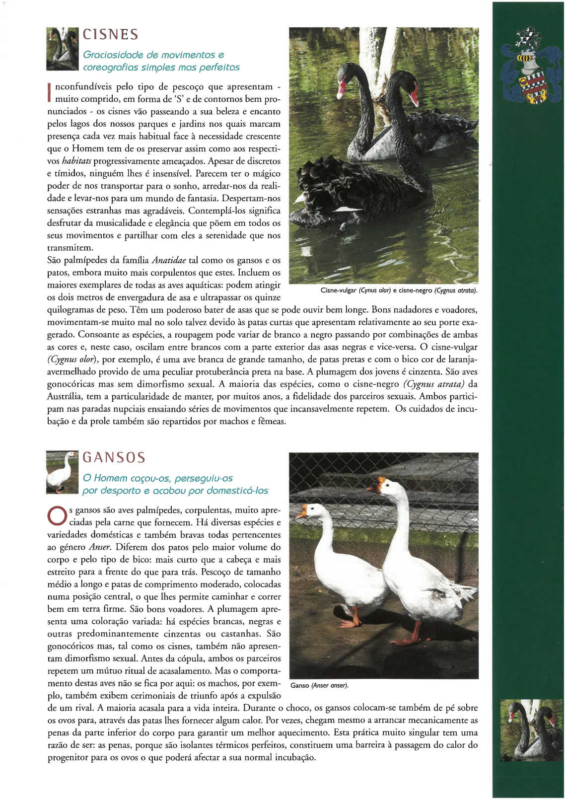 quinta_pedagogica