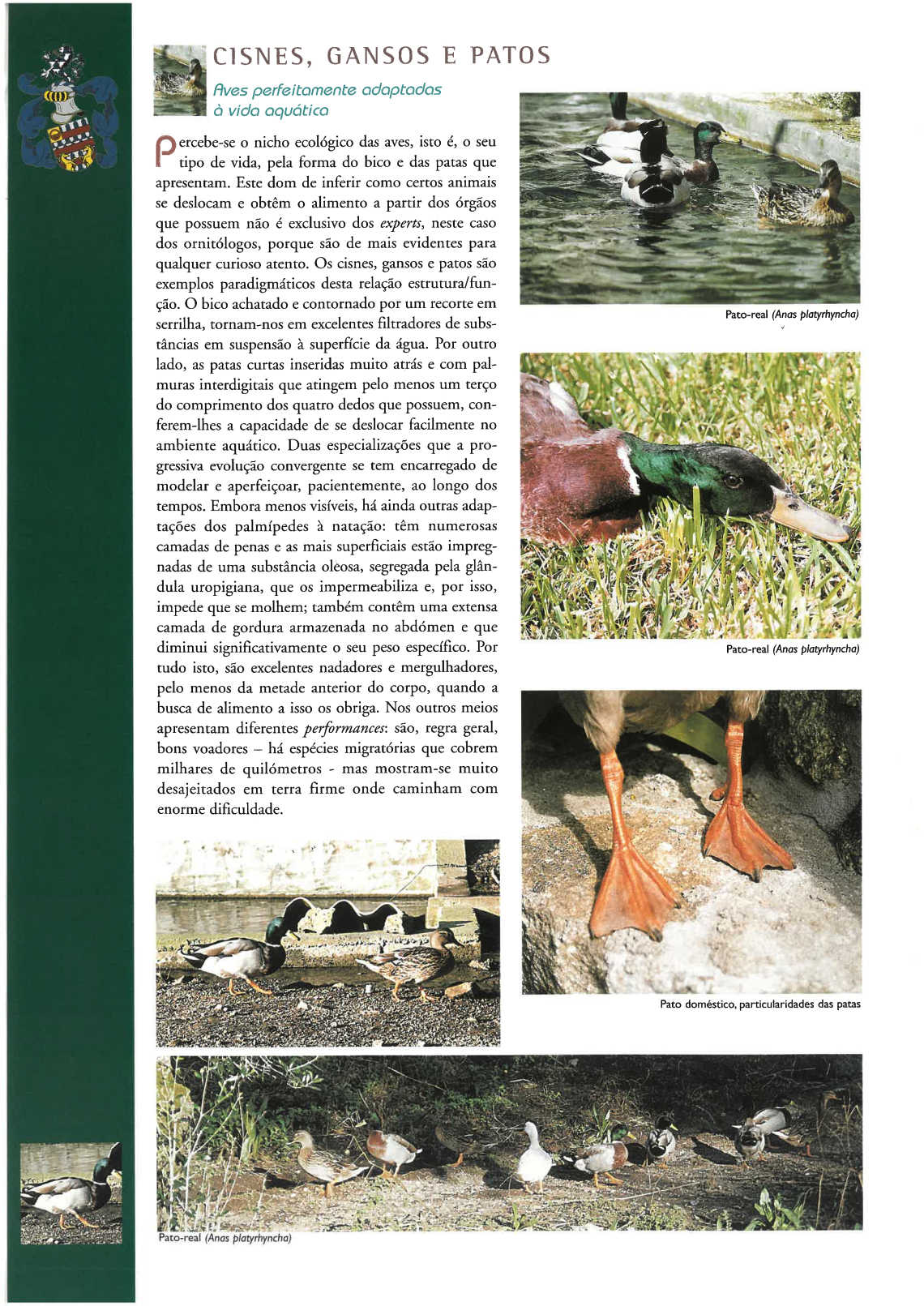 quinta_pedagogica