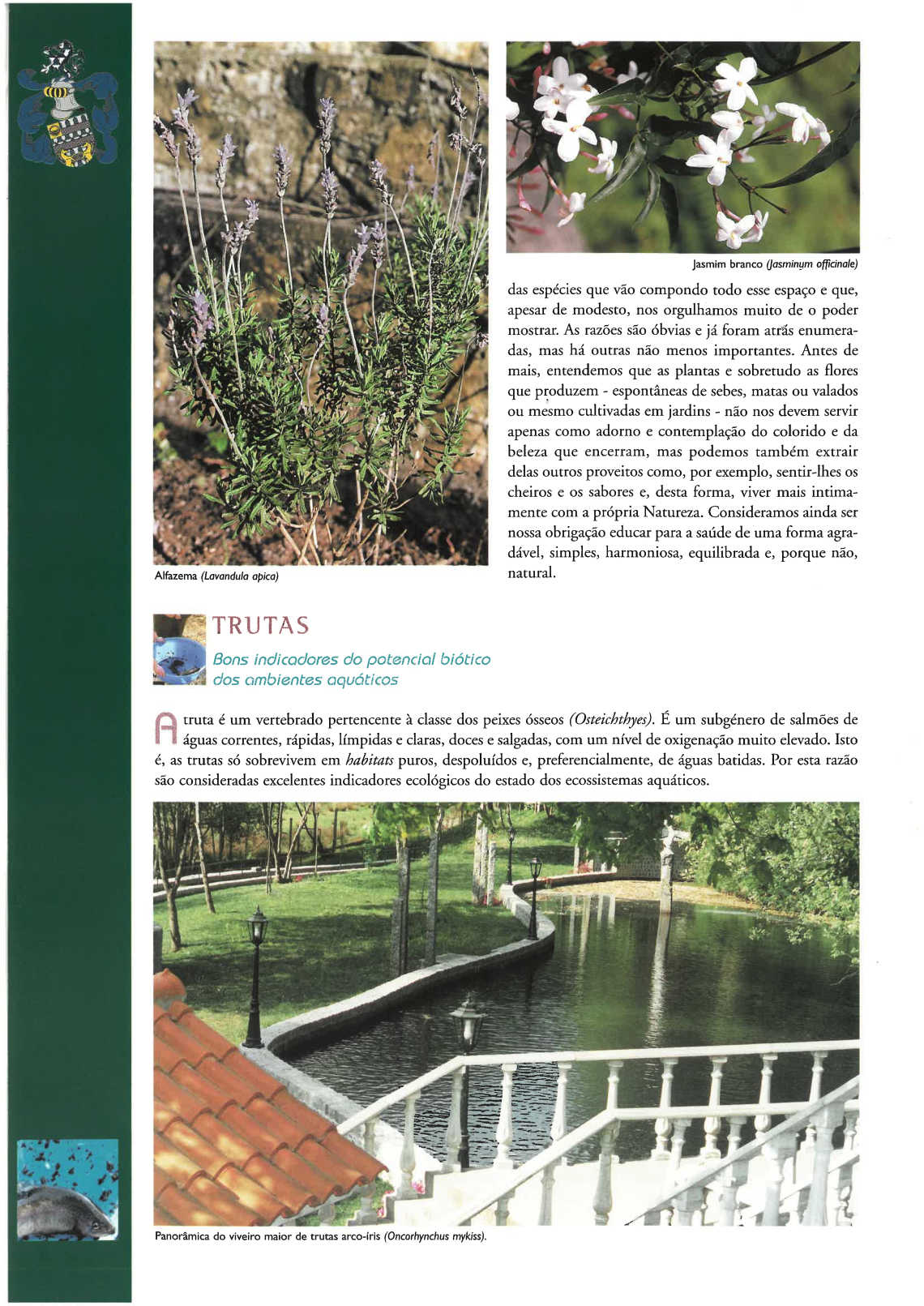 quinta_pedagogica