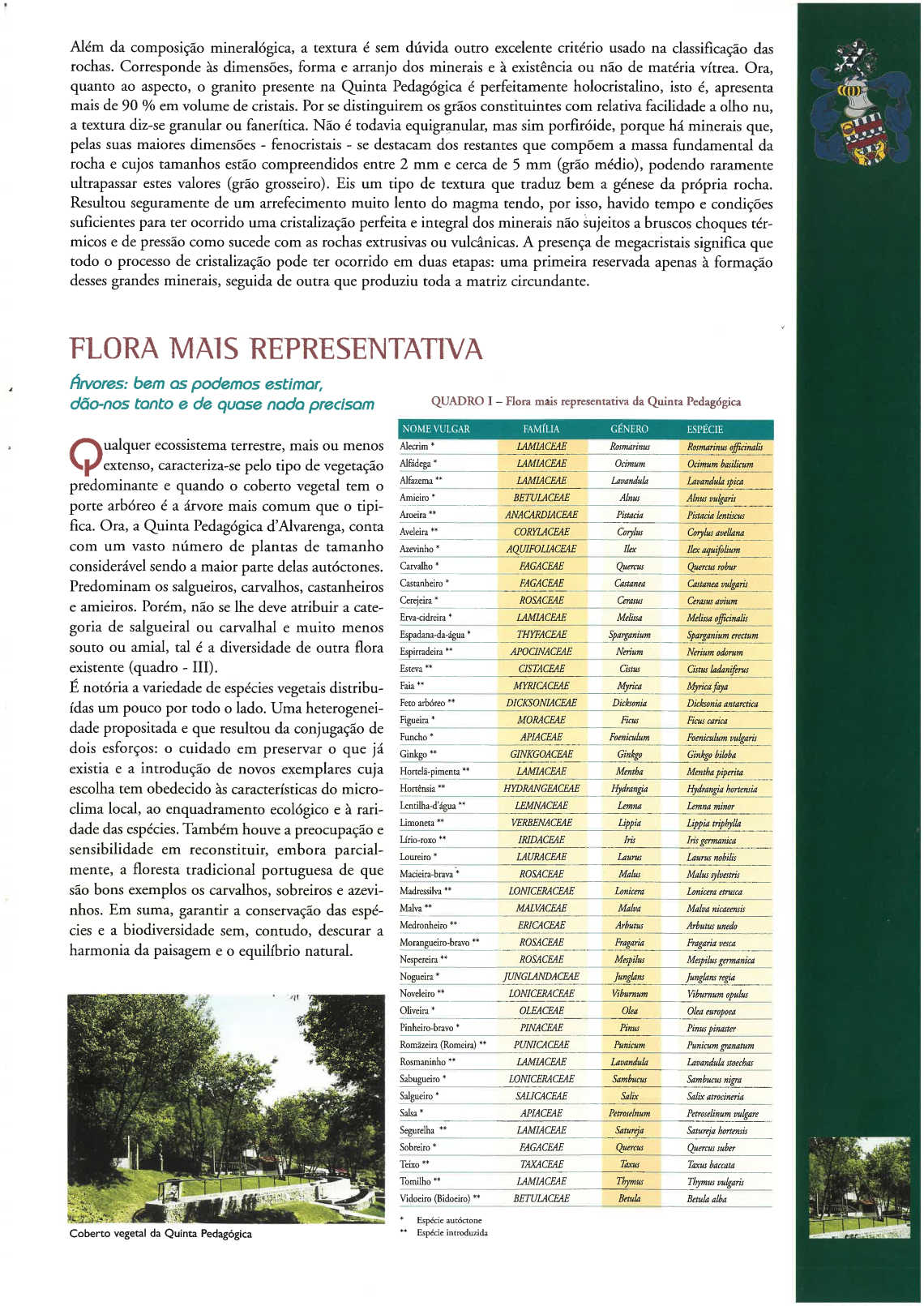 quinta_pedagogica