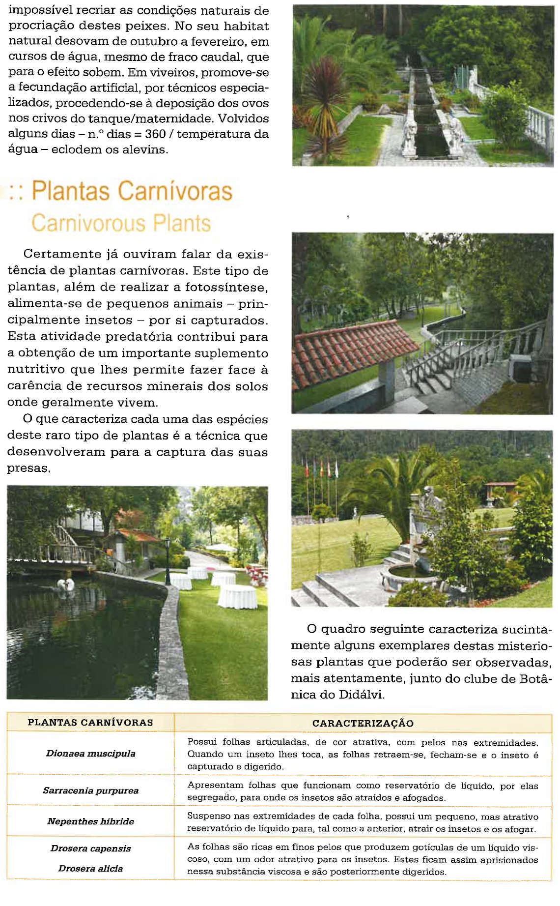 viveiro de trutas