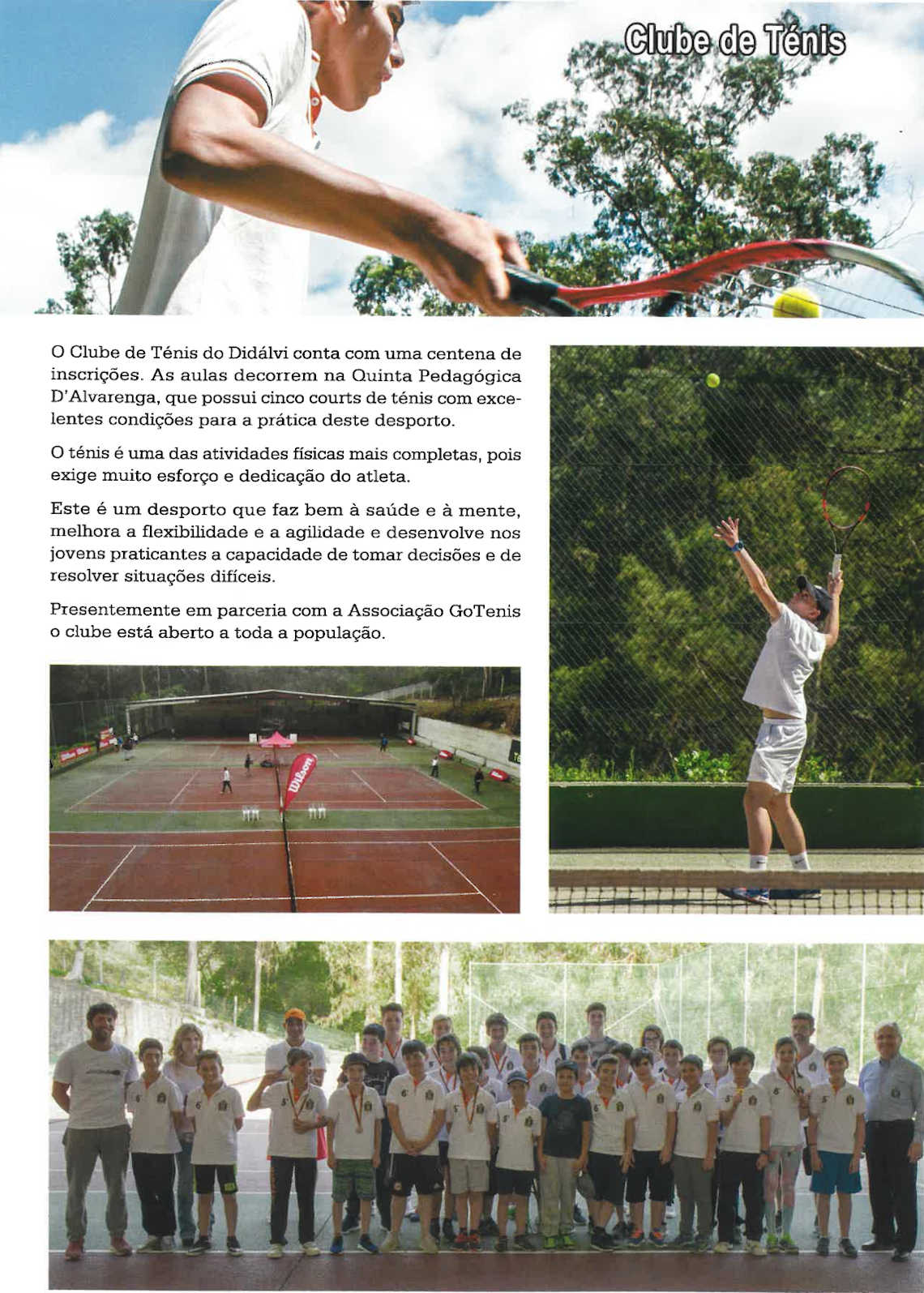 tenis